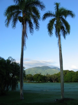 This photo of the lush landscape of the Dominican Republic was taken by photographer Thomas Wang of Toronto, Canada.